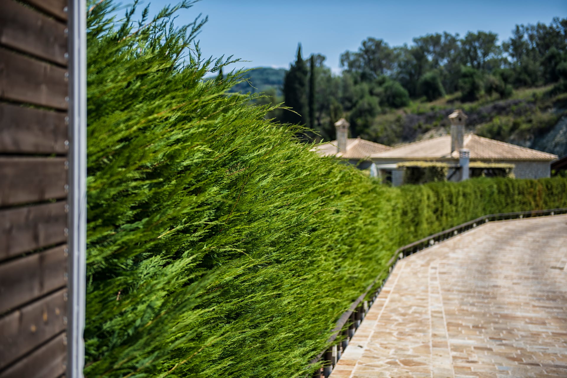 Mega Lithari Villas Corfu - DLX - 11