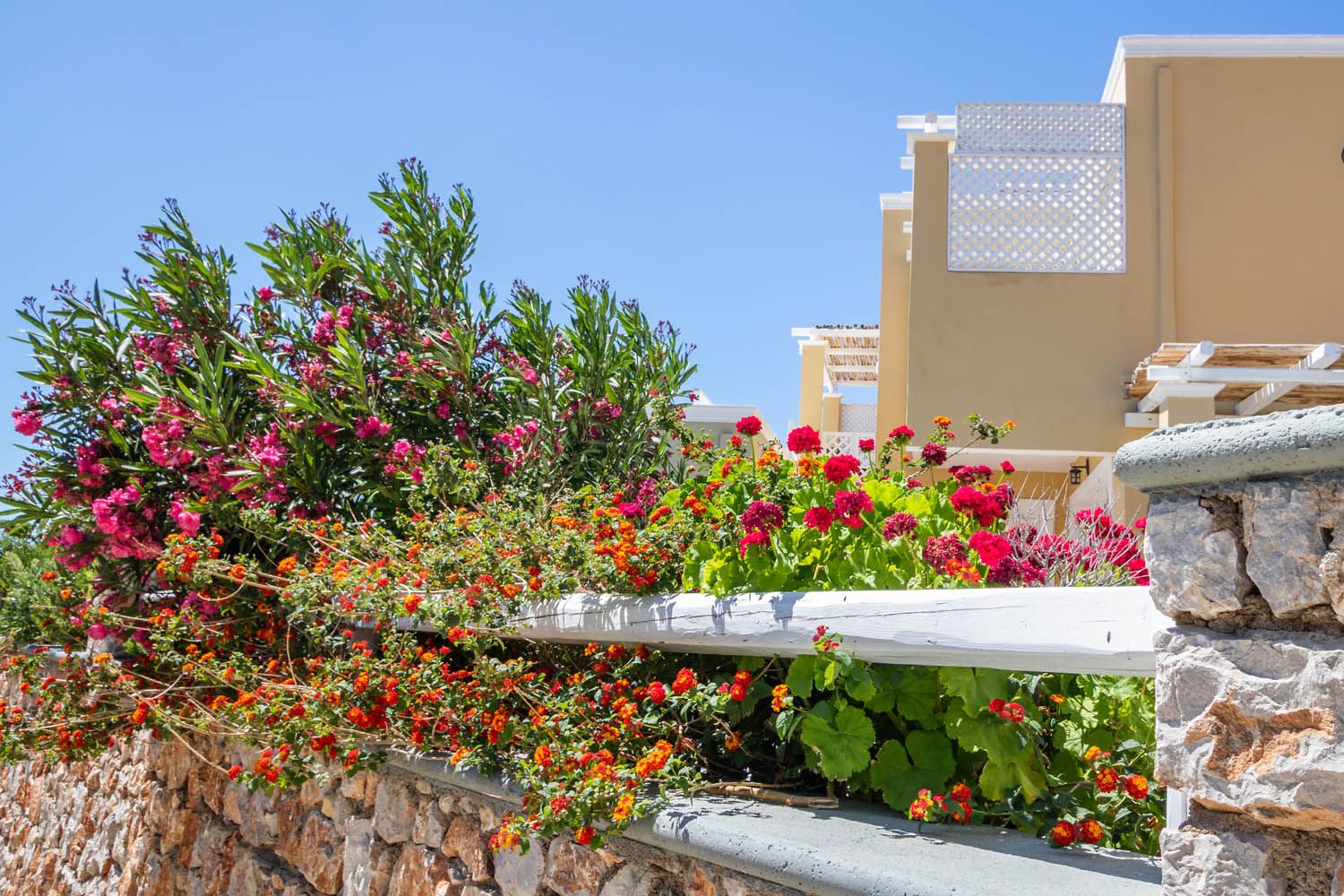 Elaia Villas Karpathos - LIOFIT - 9