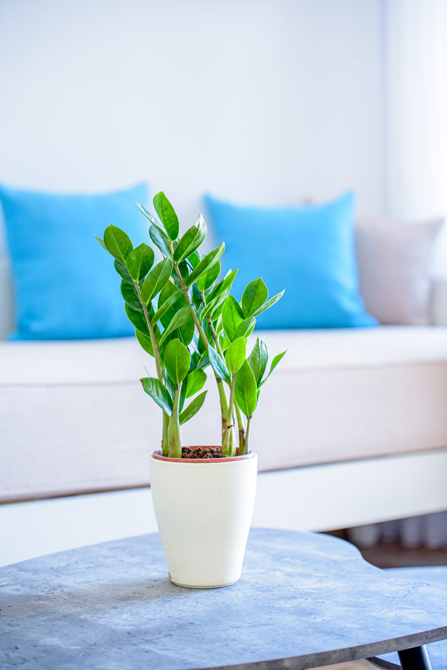 En Plo Boutique Suites - AEGEAS - 6
