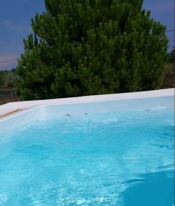 Elite Suite Outdoor Jacuzzi Pool & Private Garden