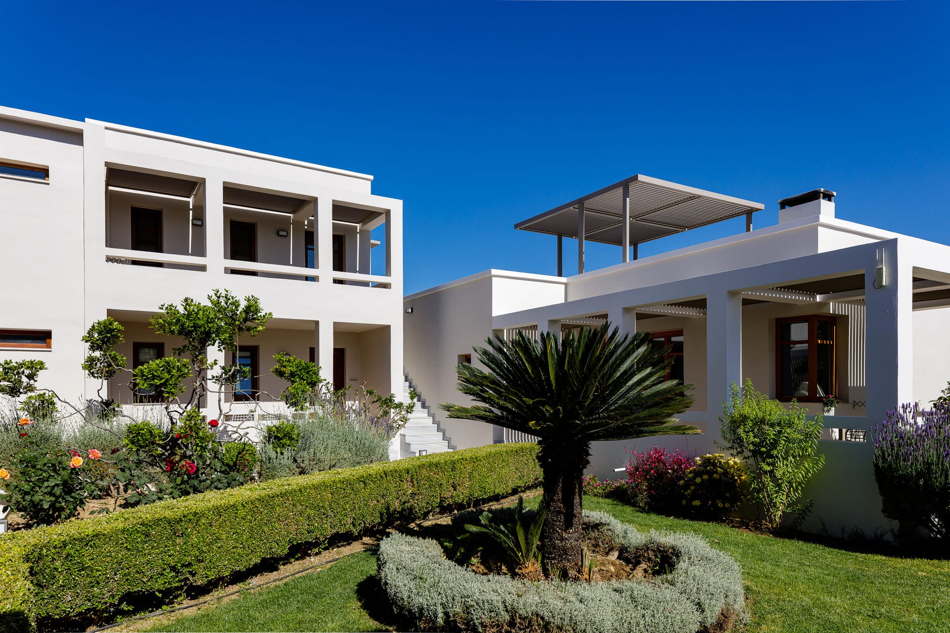 Mikro Livadi Rethymno - SPRELI - 2