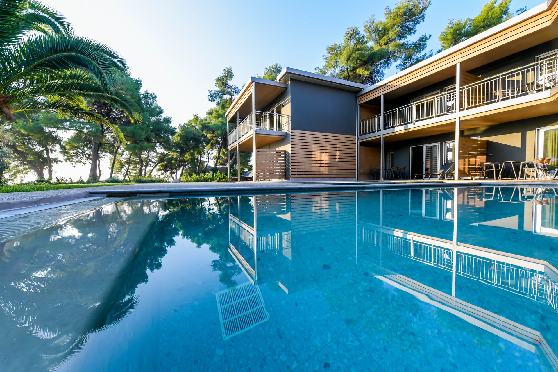 Blue Dolphin Hotel Chalkidiki - FSPP - 3