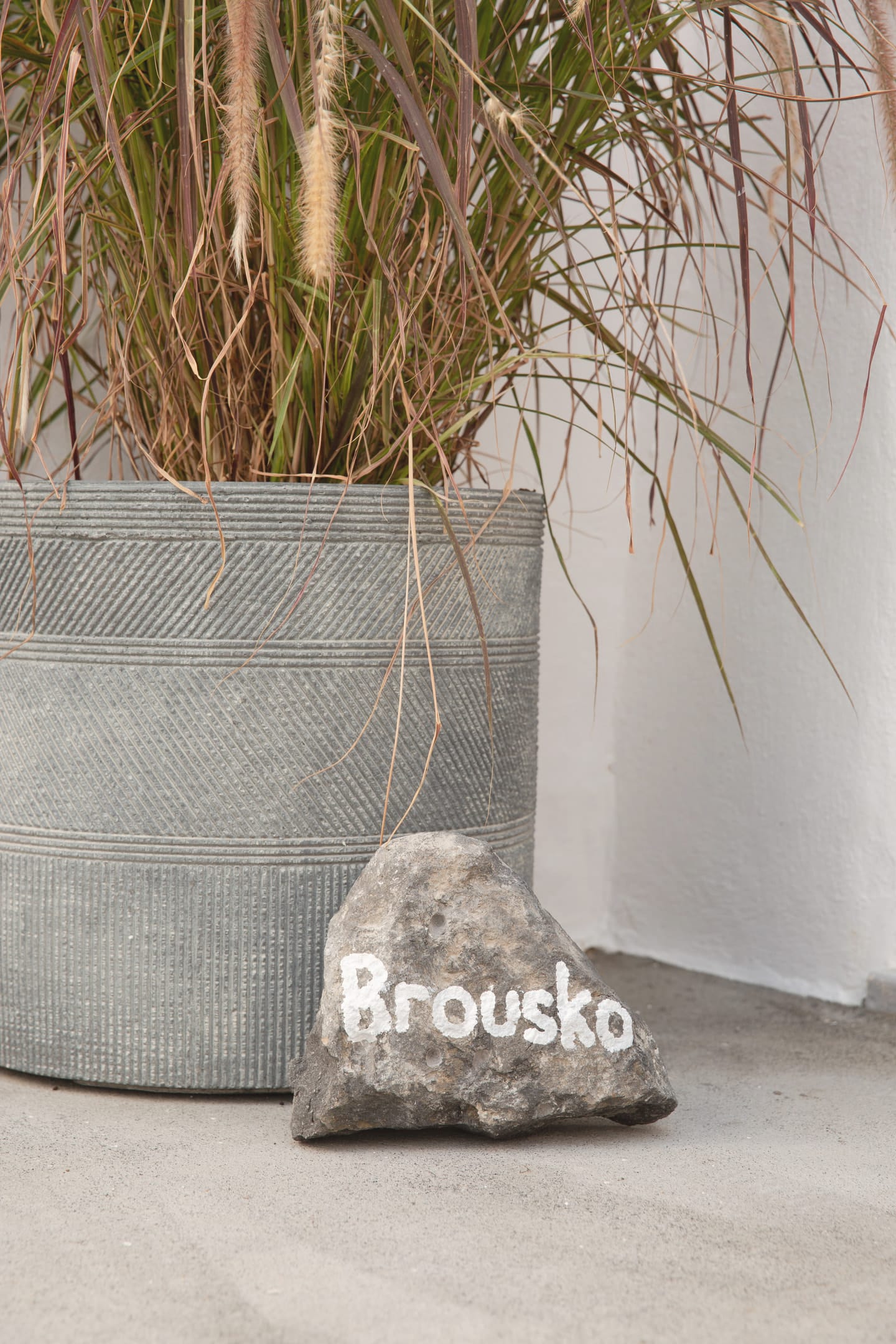 Brousko – Junior Suite