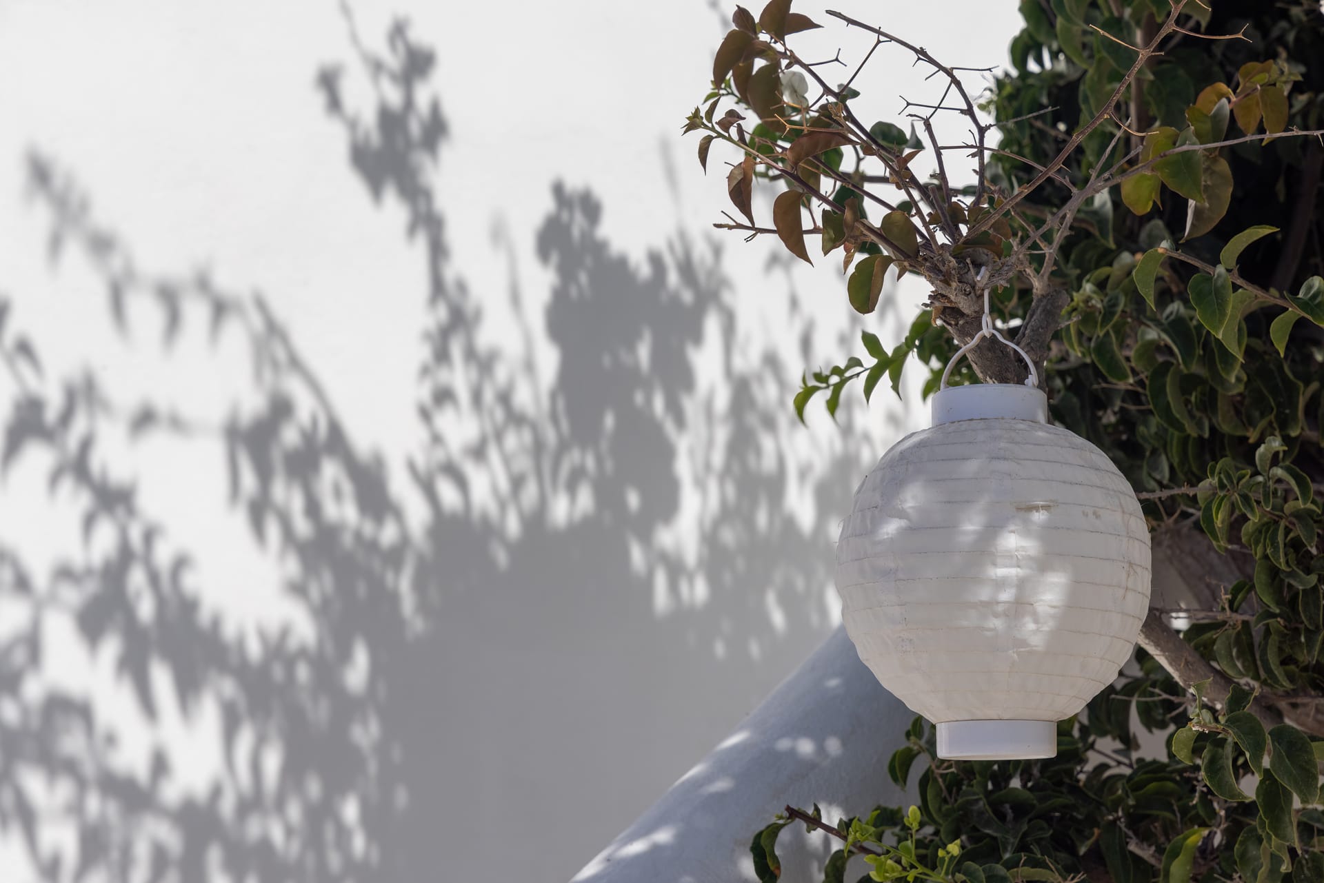 Amalgam Homes Paros Beachfront Luxury Villa - THALAS - 24