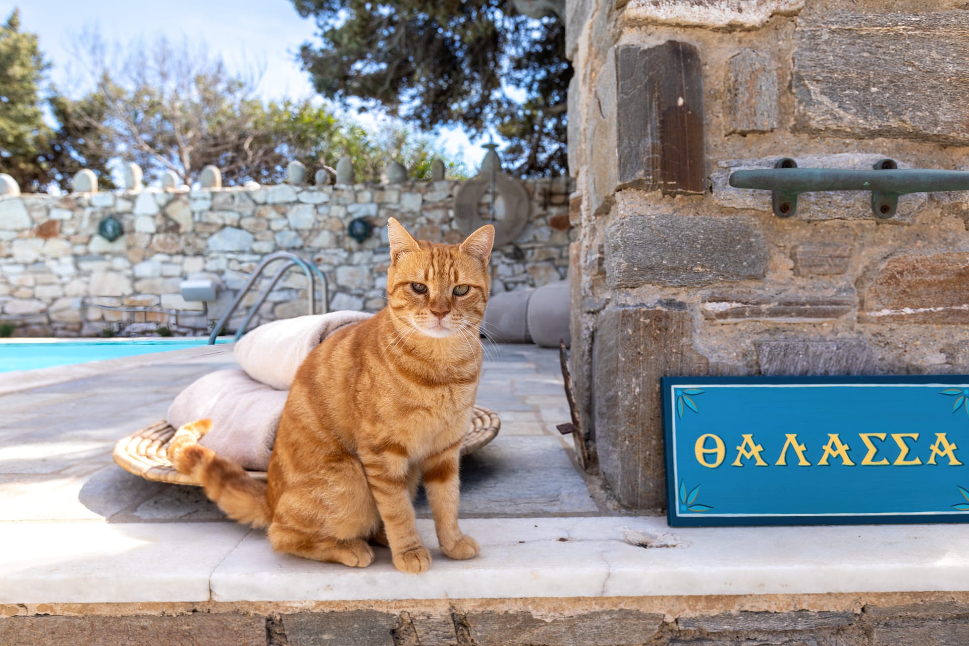 Amalgam Homes Paros Beachfront Luxury Villa - THALAS - 30