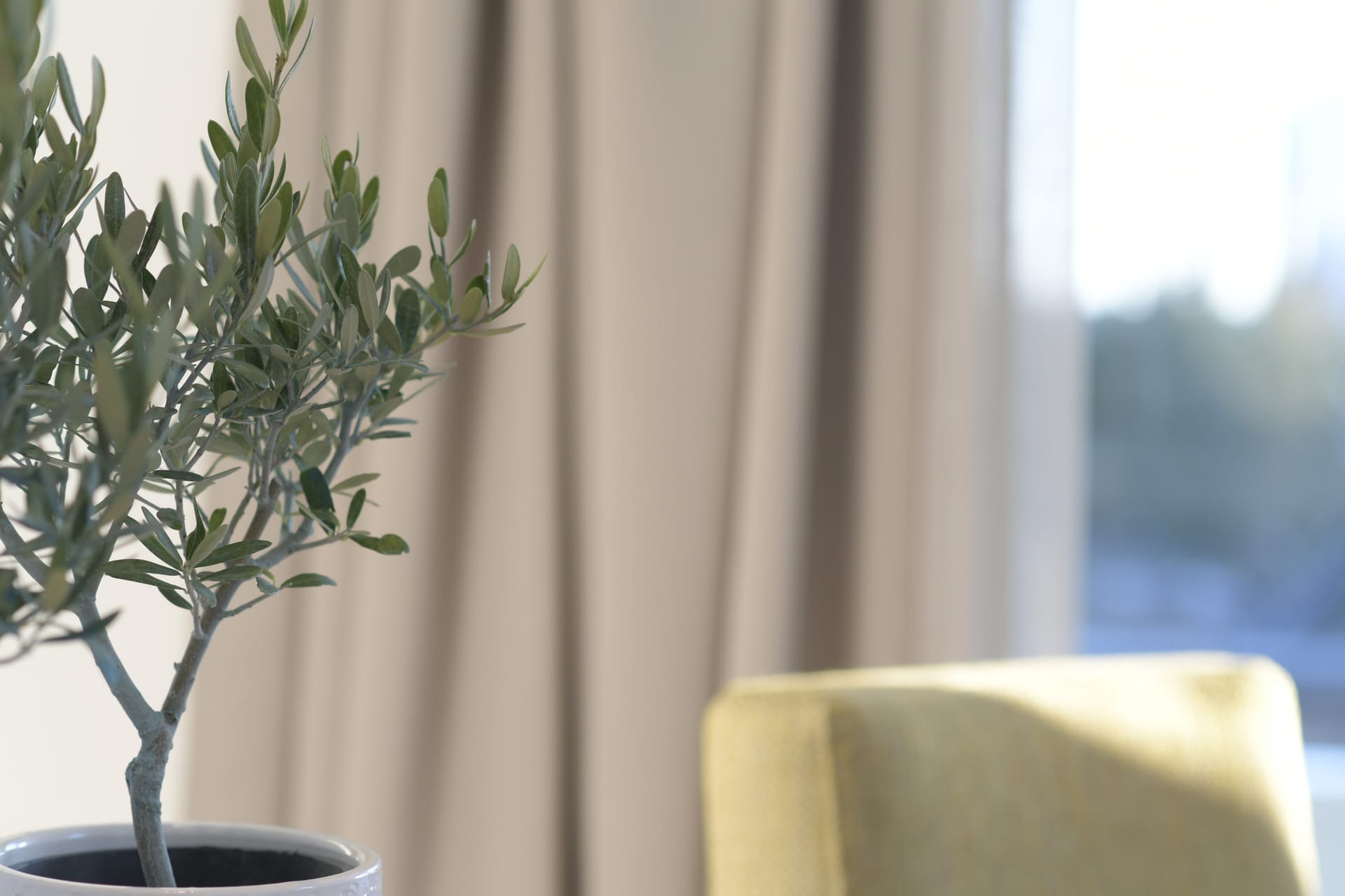 Cavo Delea Elegant Suites Chalkidiki - JSSV3 - 4