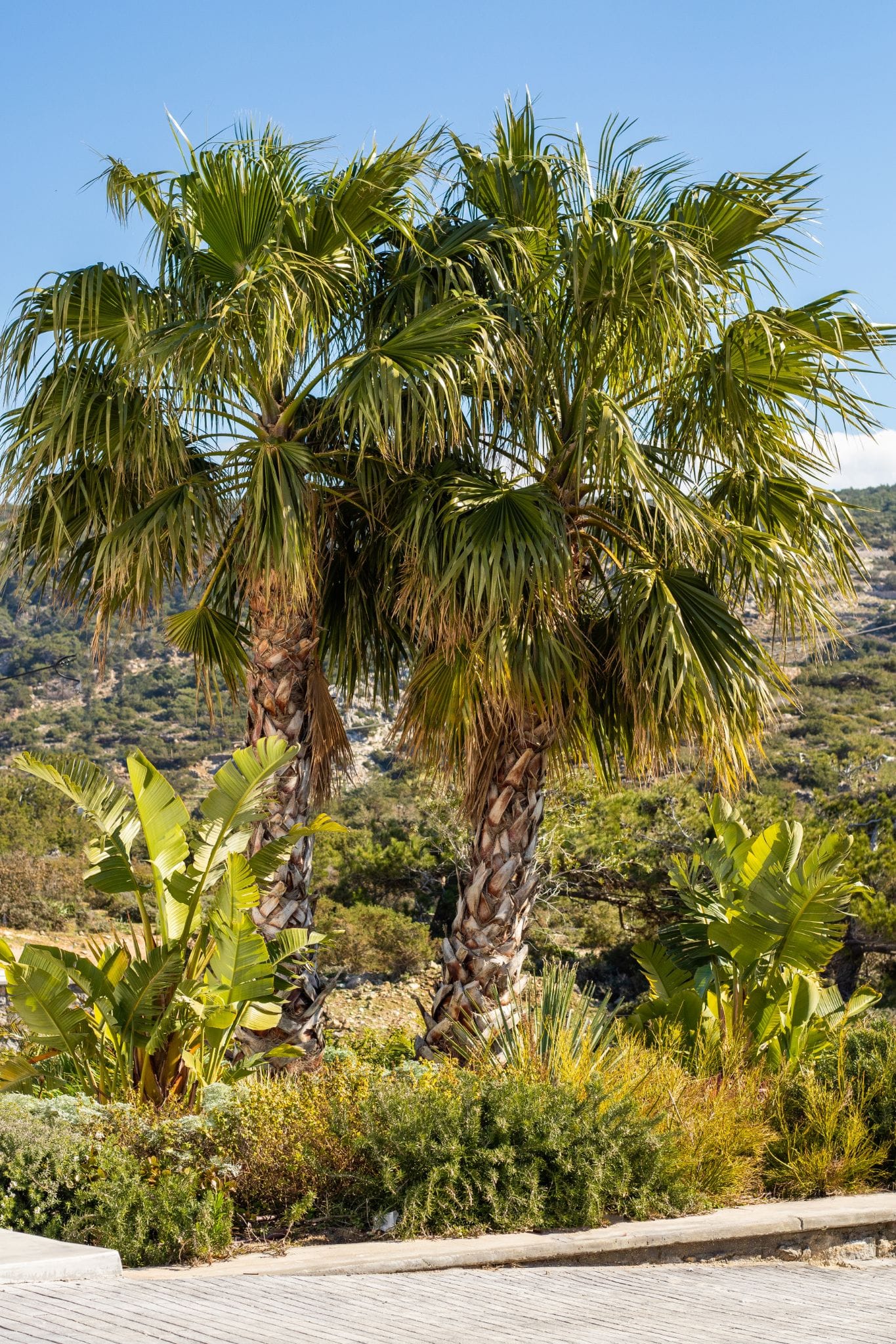 Istia Luxury Villas - SUPSV1 - 99