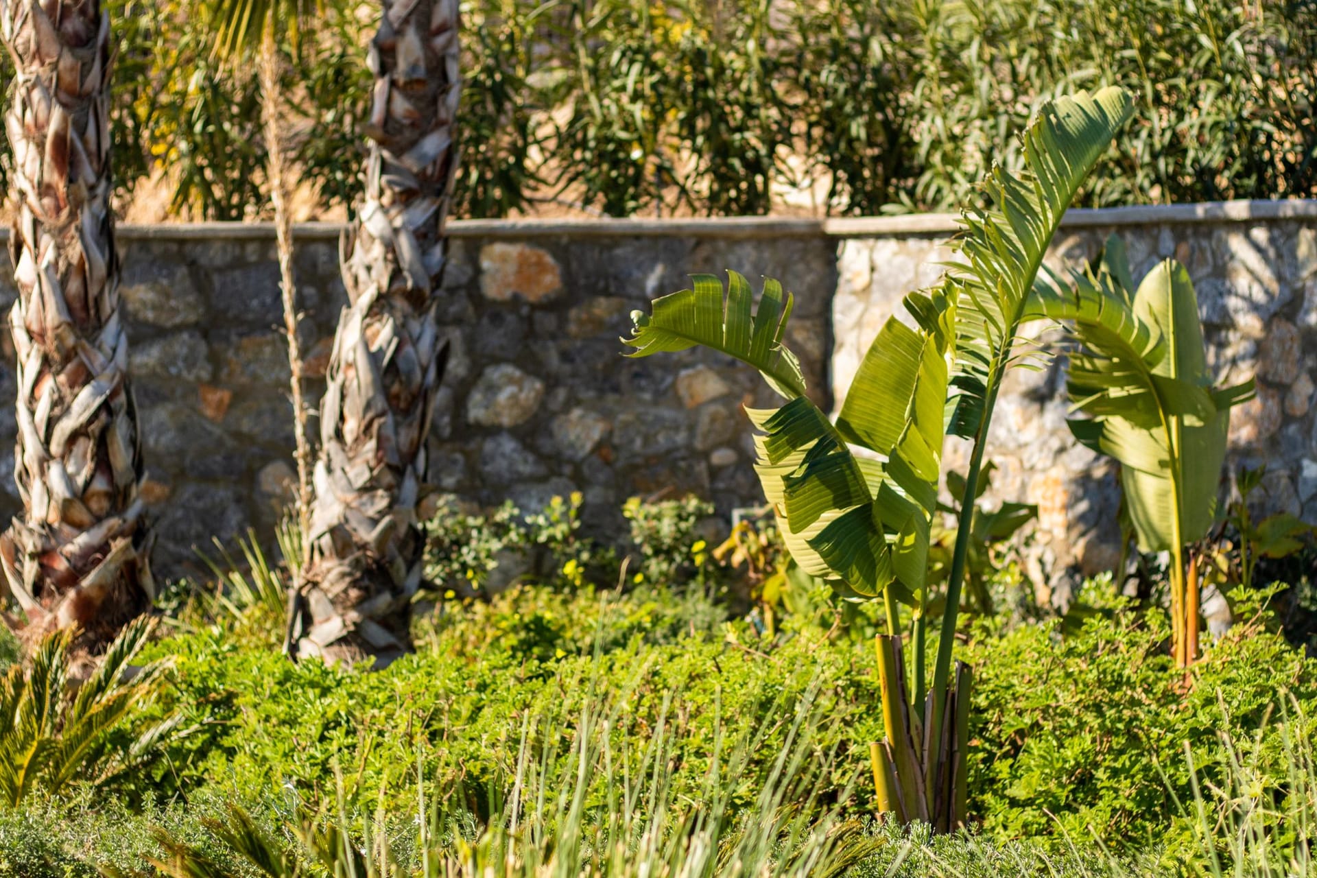Istia Luxury Villas - SUPSV1 - 104
