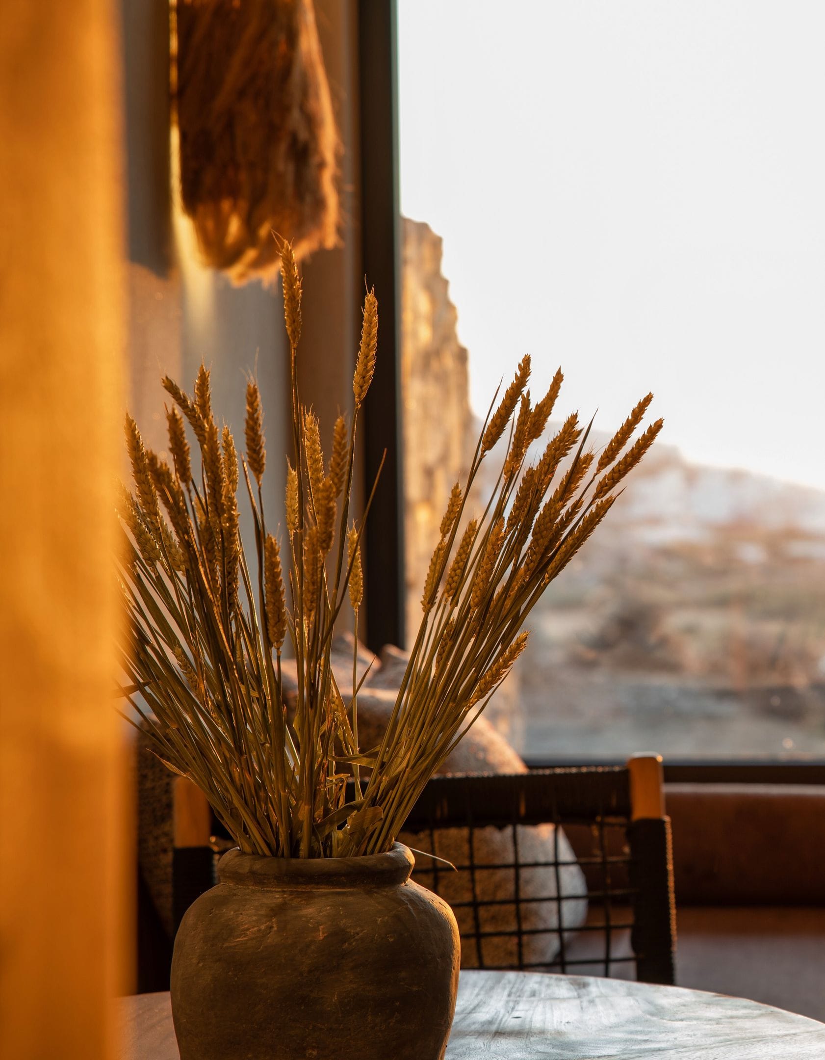 Opuntia Suites - PREM - 20