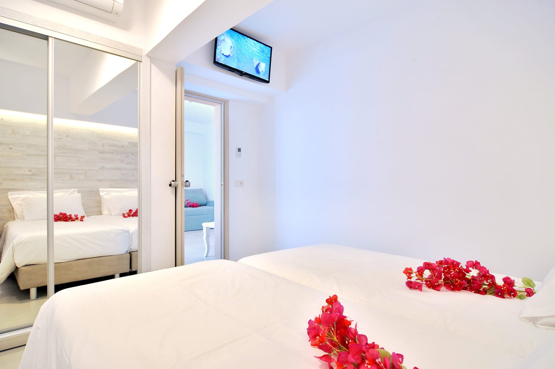 Premium Suite