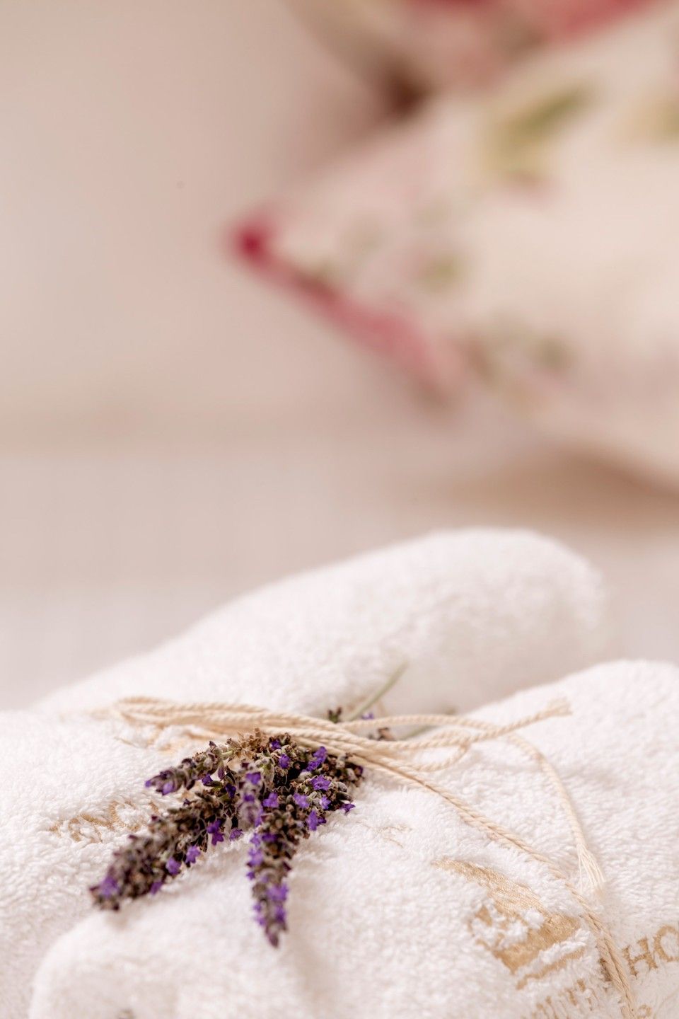 Vencia Boutique Hotel - JUNG - 3