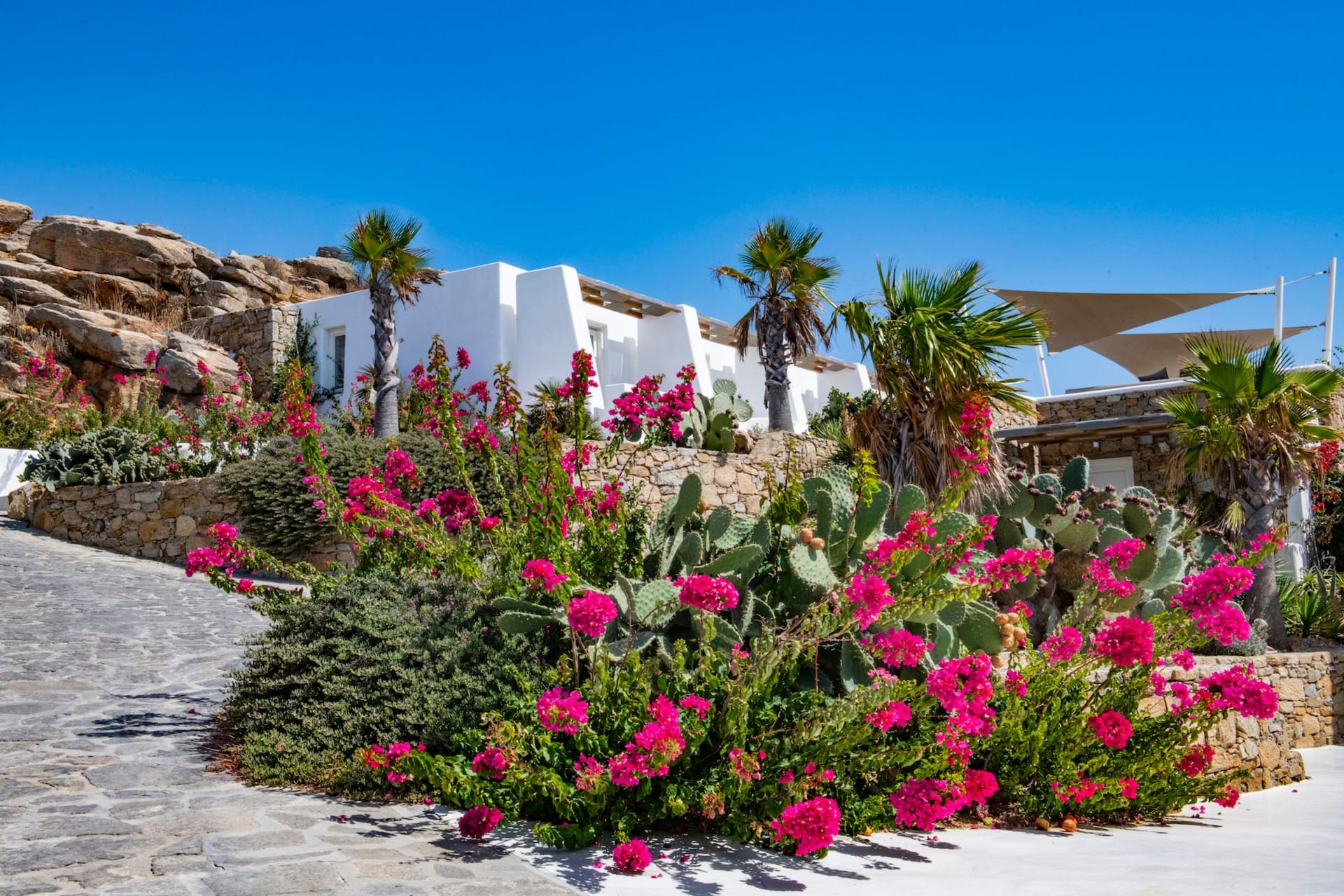 Kennedys Group Mykonos - ETHILL - 4