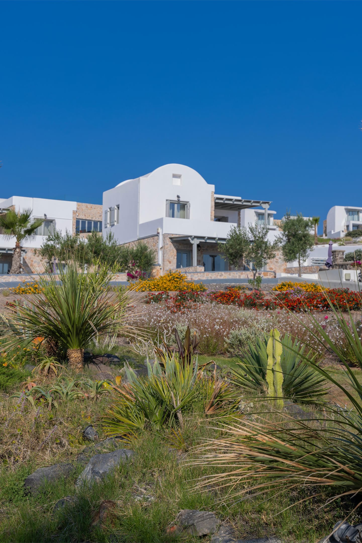 Desiterra Resort - PRVPP - 2