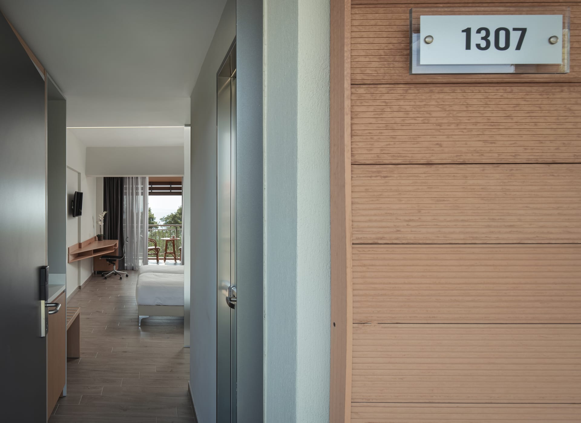 Blue Dolphin Hotel Chalkidiki - DELSV - 12