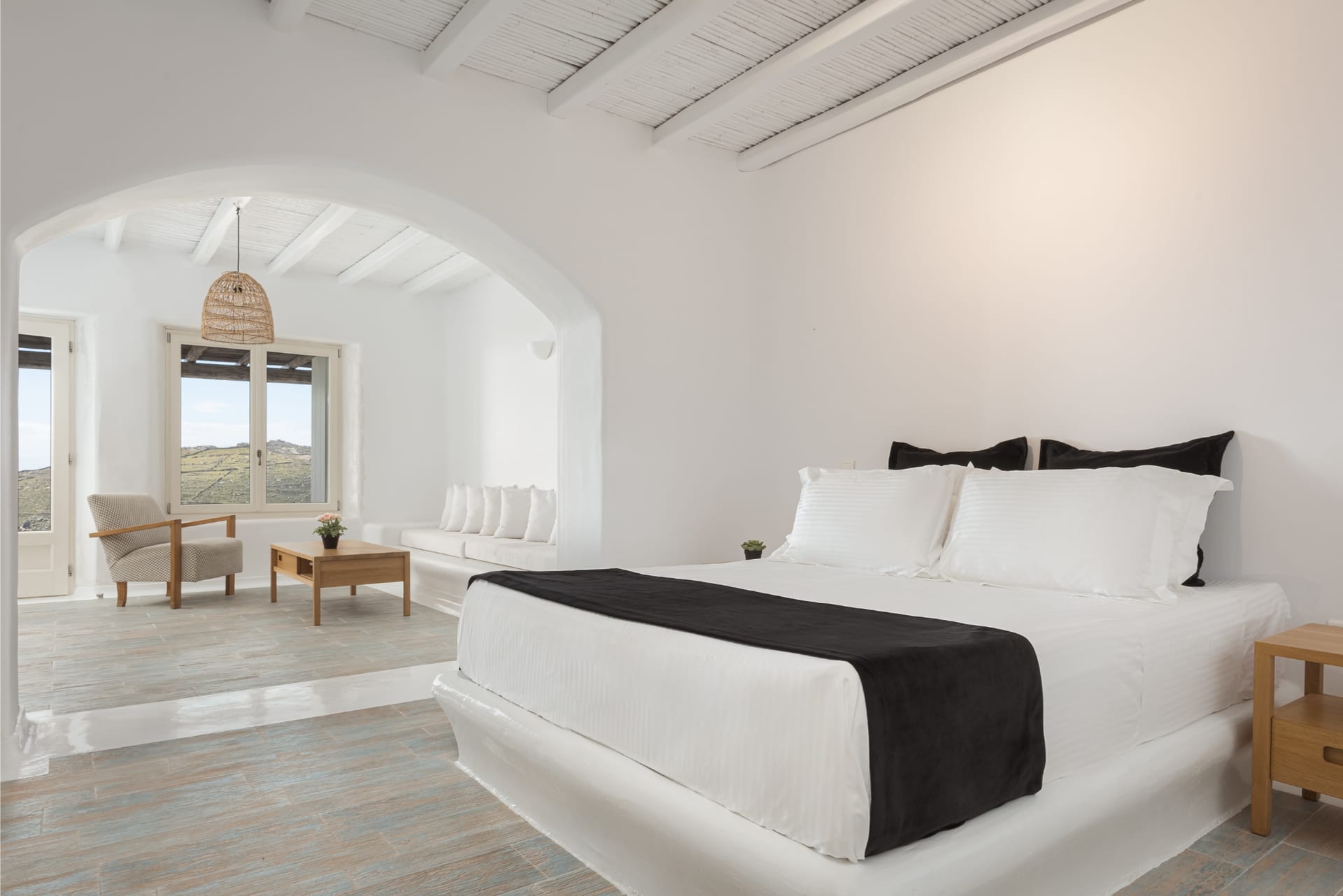 Bill & John Mykonos - ICONIC - 14