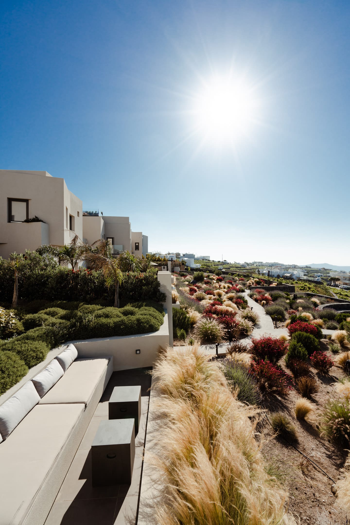 Apikia Santorini - TBPV - 20