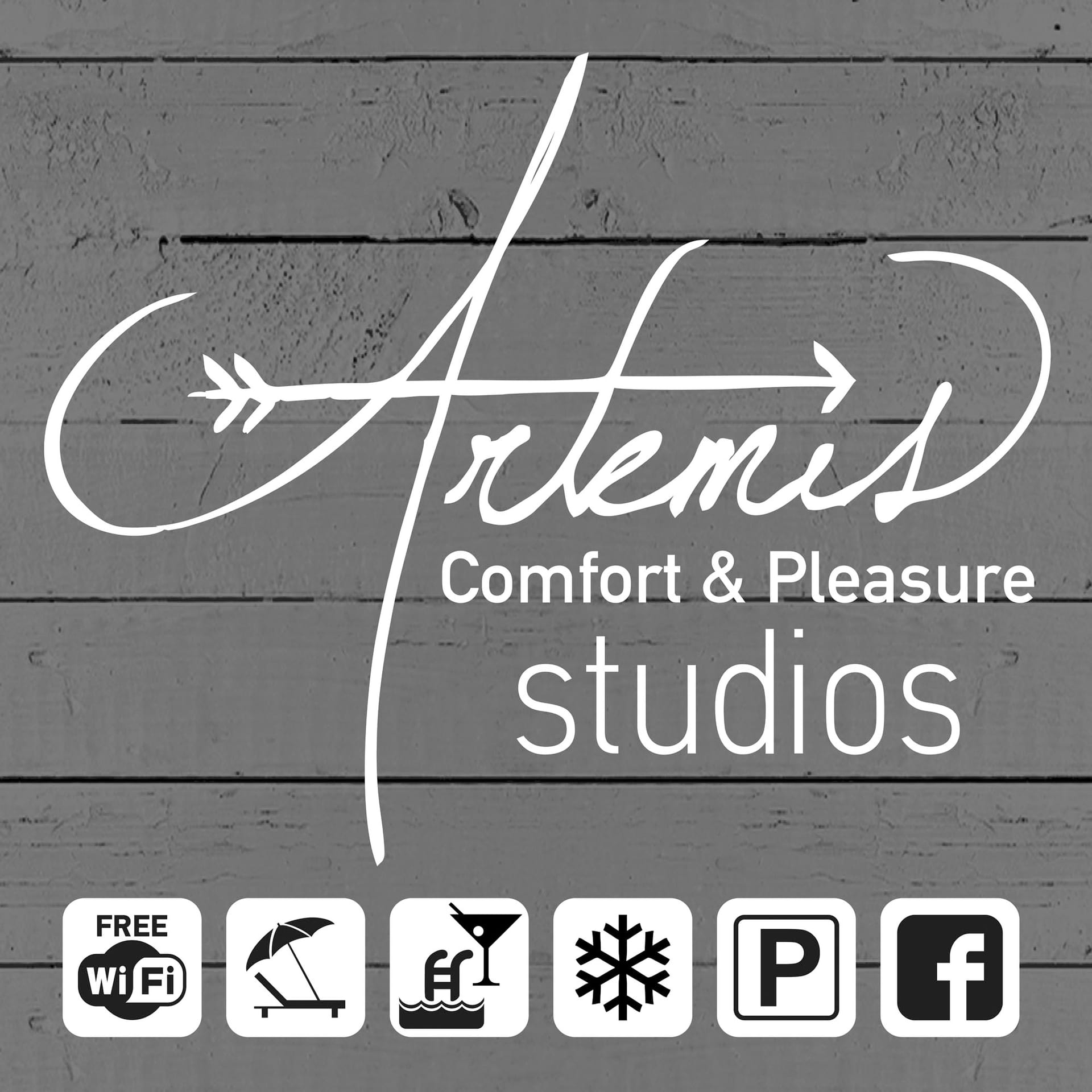 Artemis Comfort & Pleasure - SWPV - 14