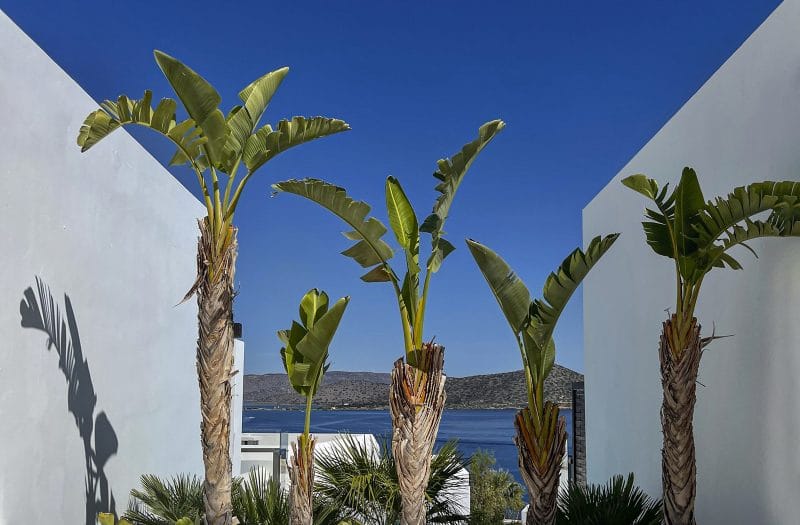 Aquila Elounda Village - DMSVPP - 6