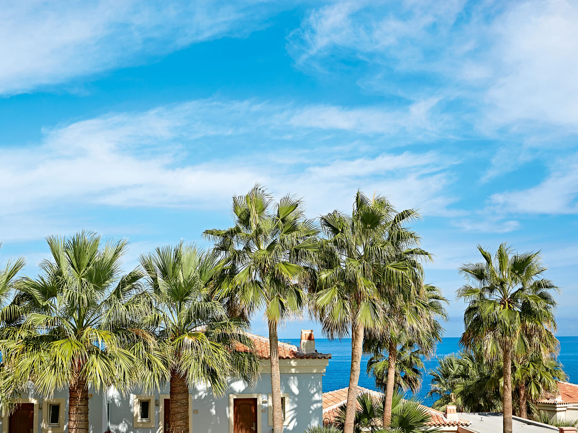 Grecotel Marine Palace & Aqua Park - BSS - 4