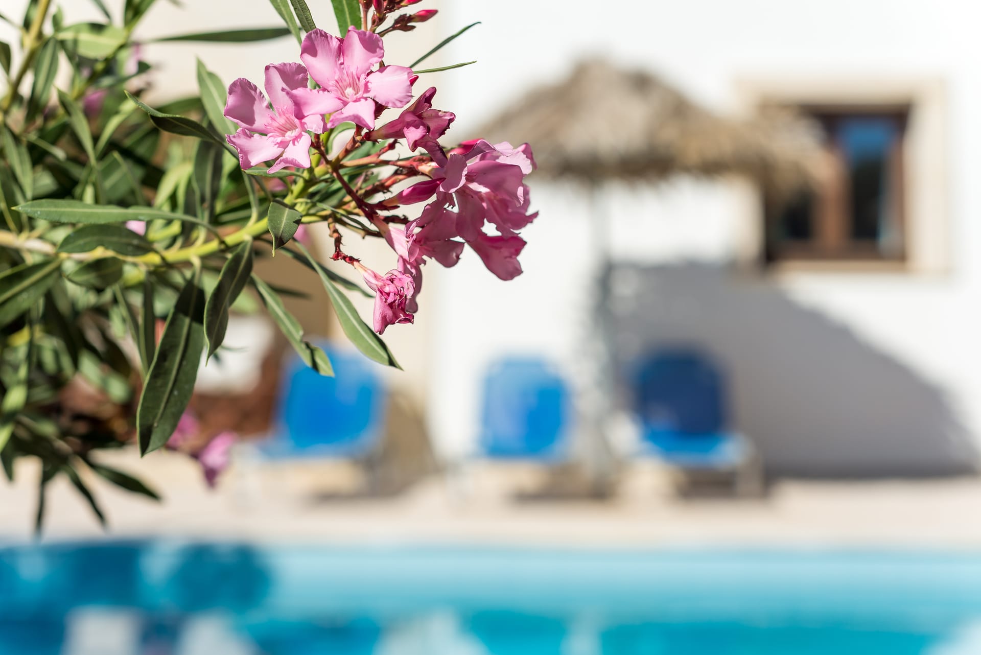 Crete Essence Villas – Lagkada - VAFOBP - 37