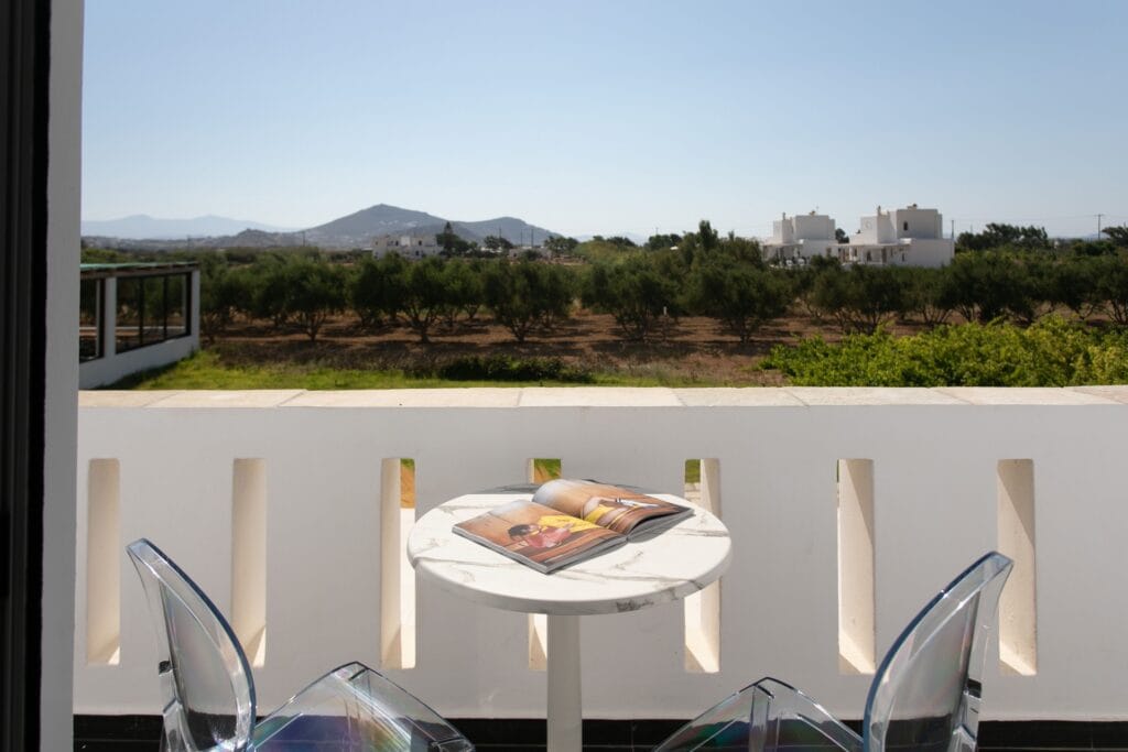 Iphimedeia Apartments & Suites Naxos - STDAP - 5