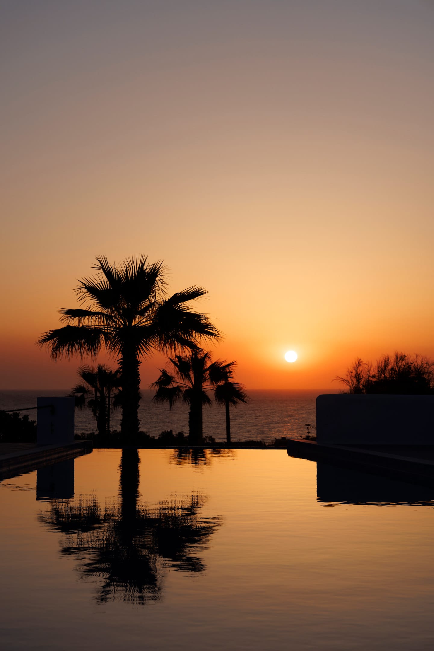 Desiterra Resort - PRES - 24
