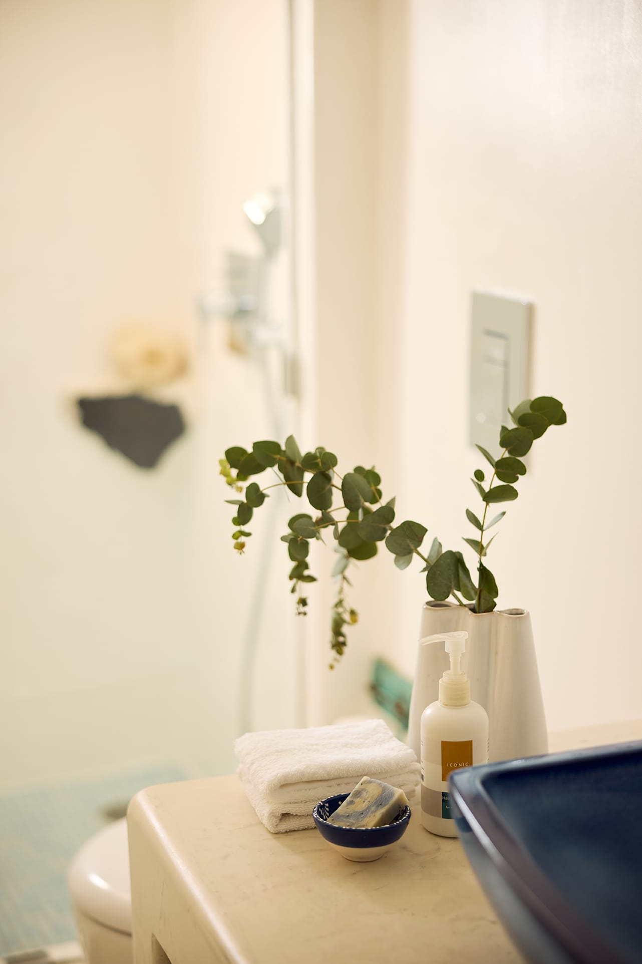 Iconic Santorini a boutique cave hotel - CAV - 6