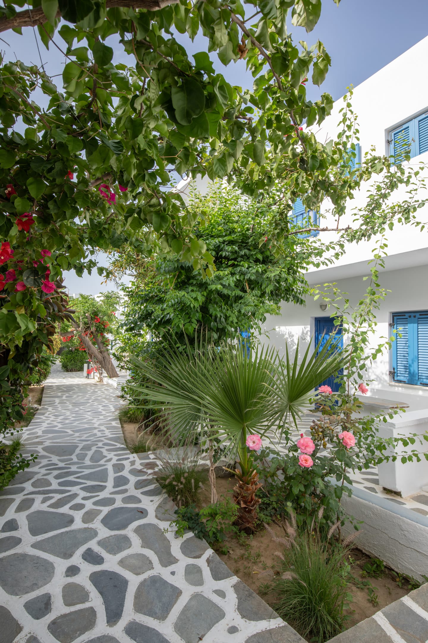 Acrogiali Beach Hotel Mykonos - TRIPGV - 2