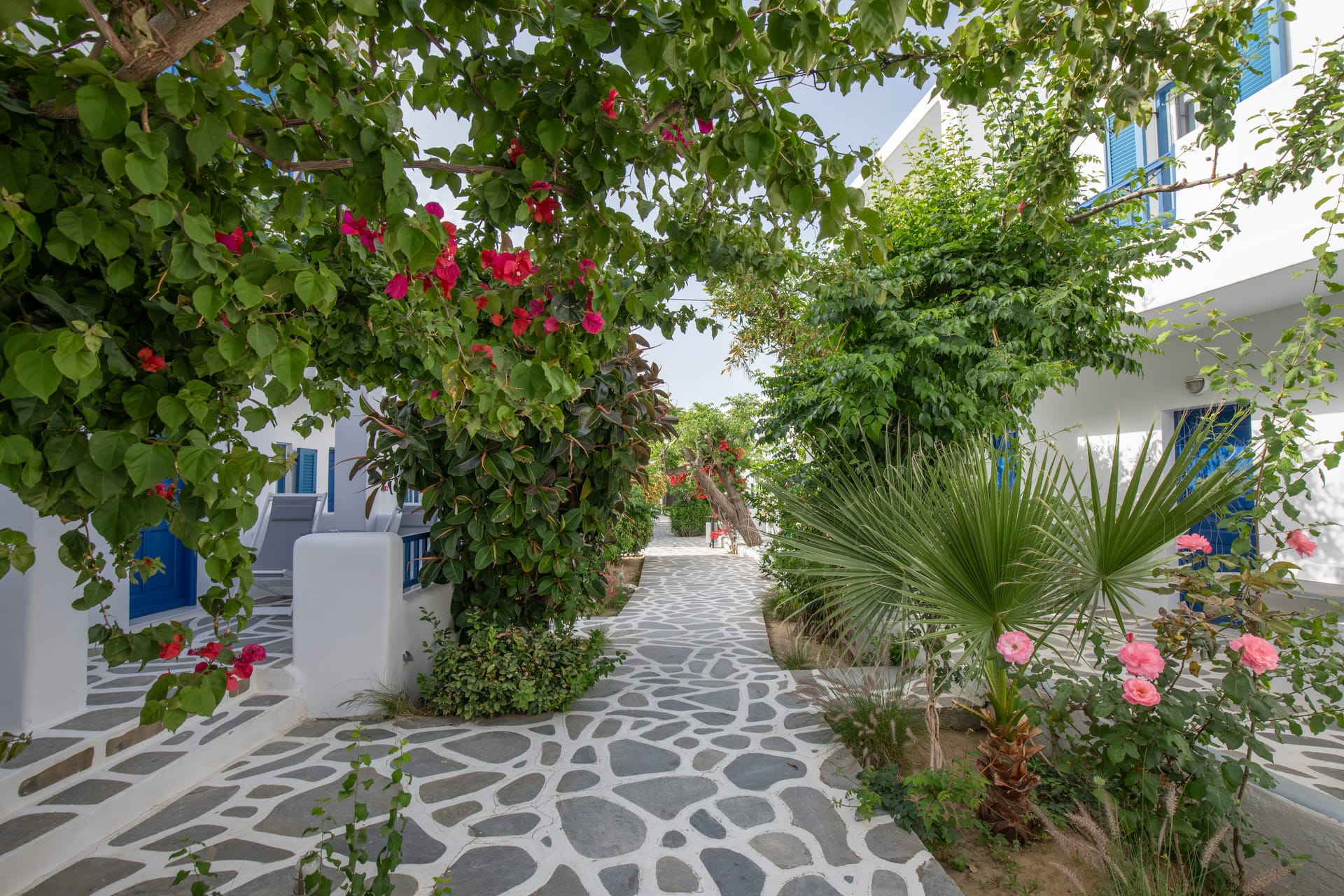 Acrogiali Beach Hotel Mykonos - TRIPGV - 11