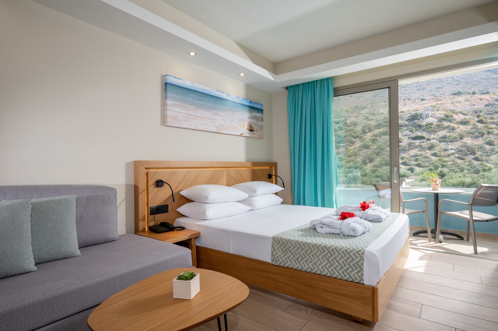 Superior Room with Land View