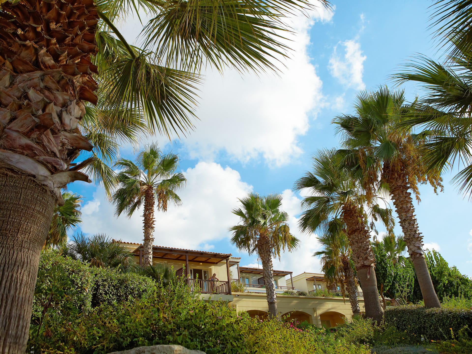Grecotel Marine Palace & Aqua Park - FMS - 3