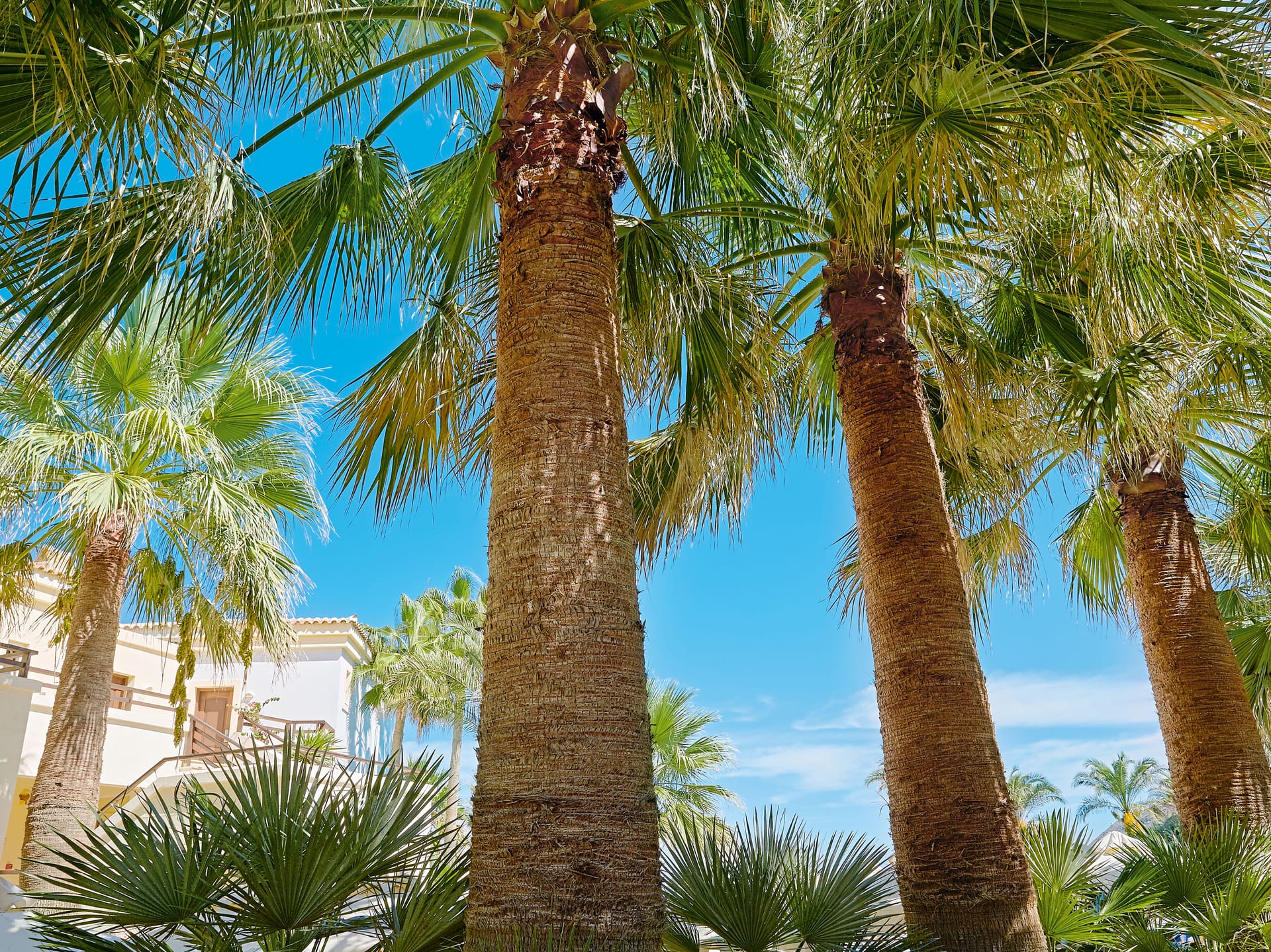 Grecotel Marine Palace & Aqua Park - FAMAPA - 2