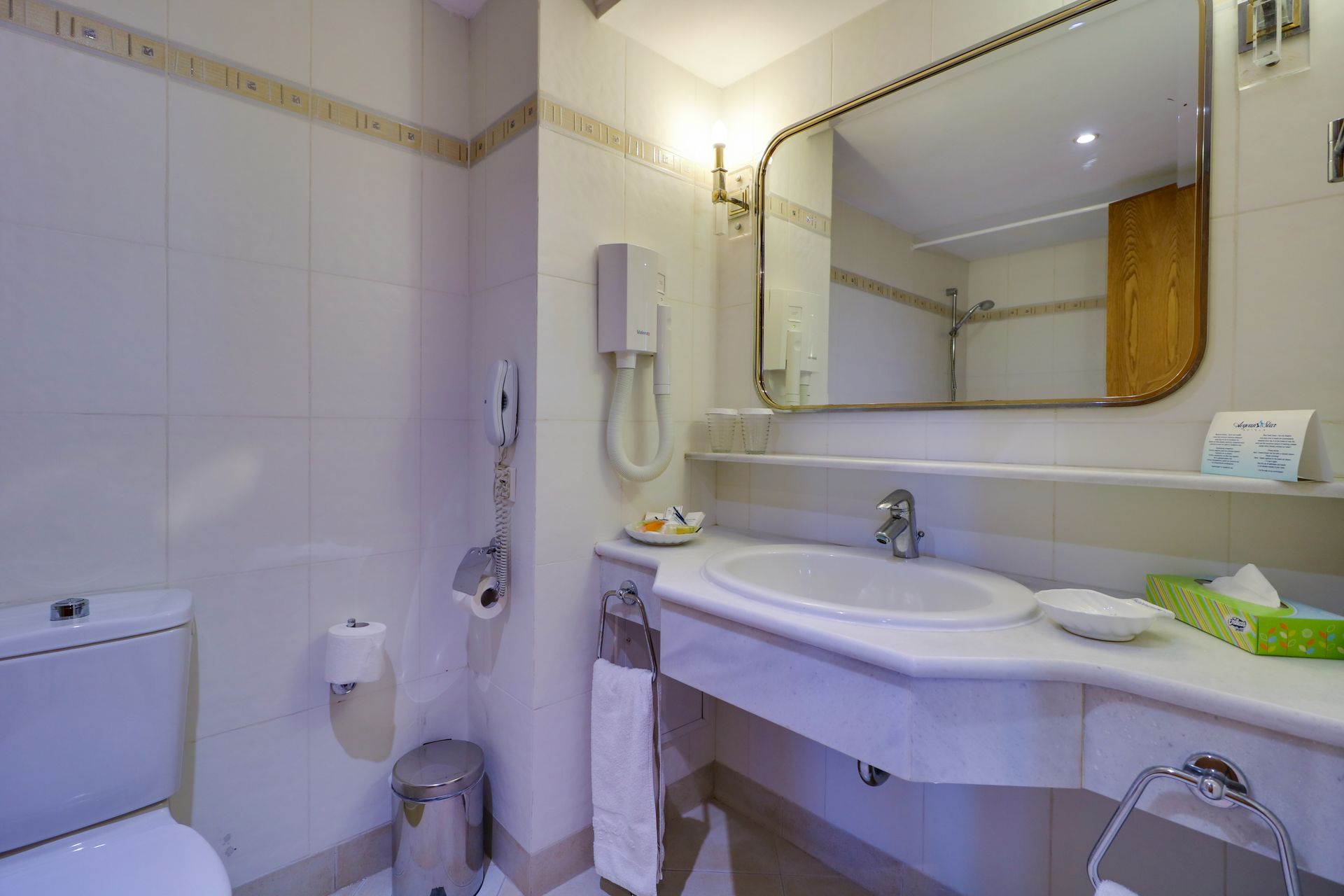 Aegean Melathron Thalasso Spa Hotel - SVR - 4