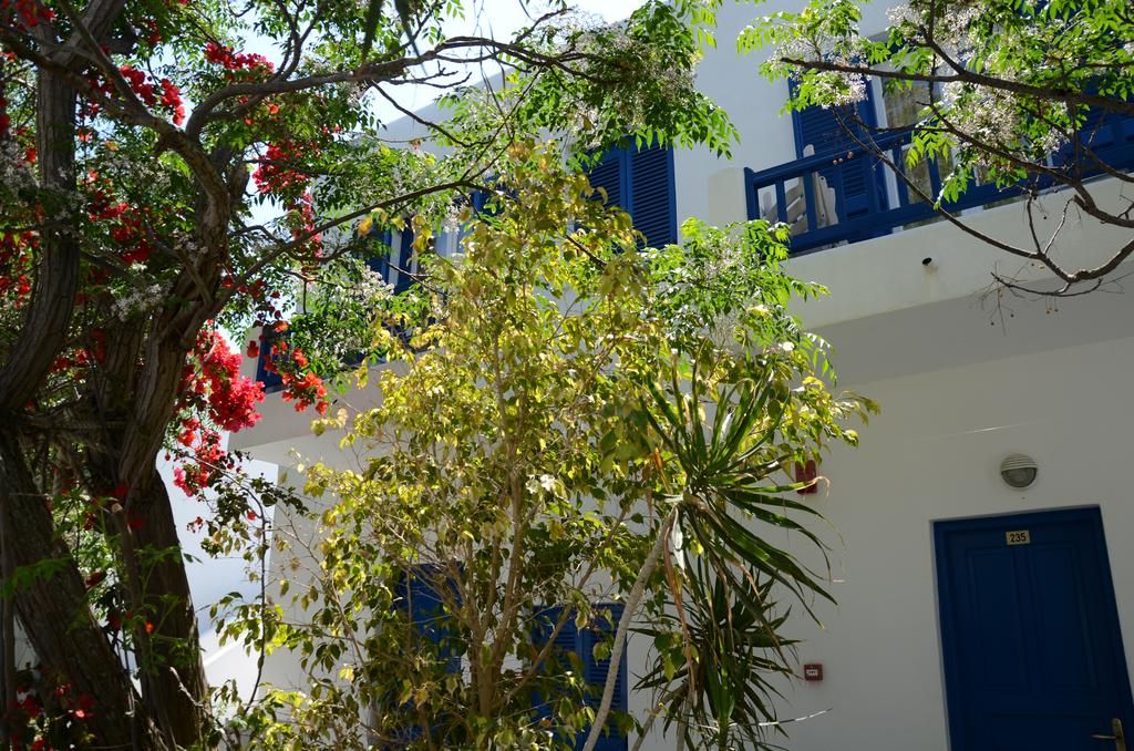 Acrogiali Beach Hotel Mykonos - FAMGV - 5