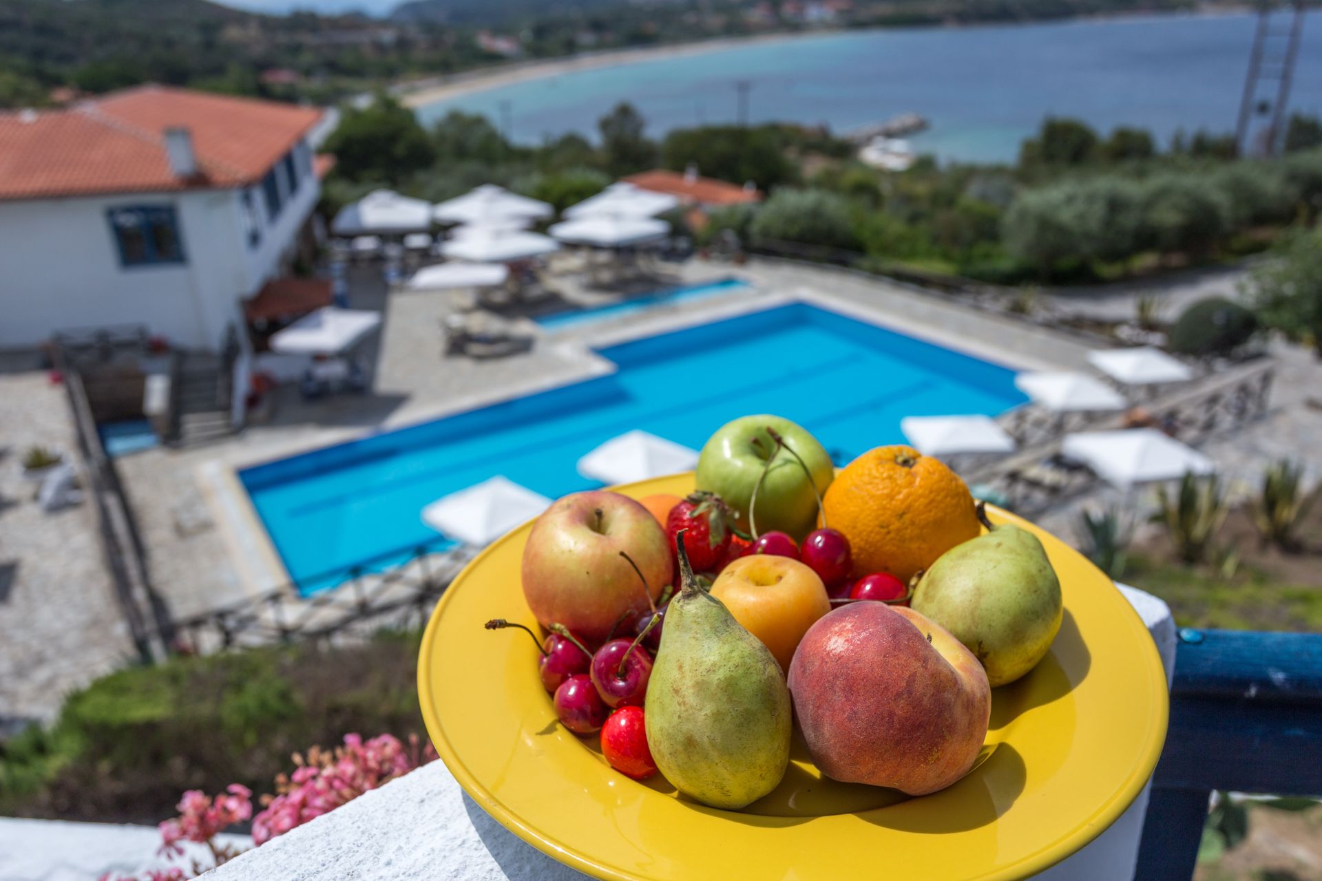 Agionissi Resort Chalkidiki - SUISV - 11