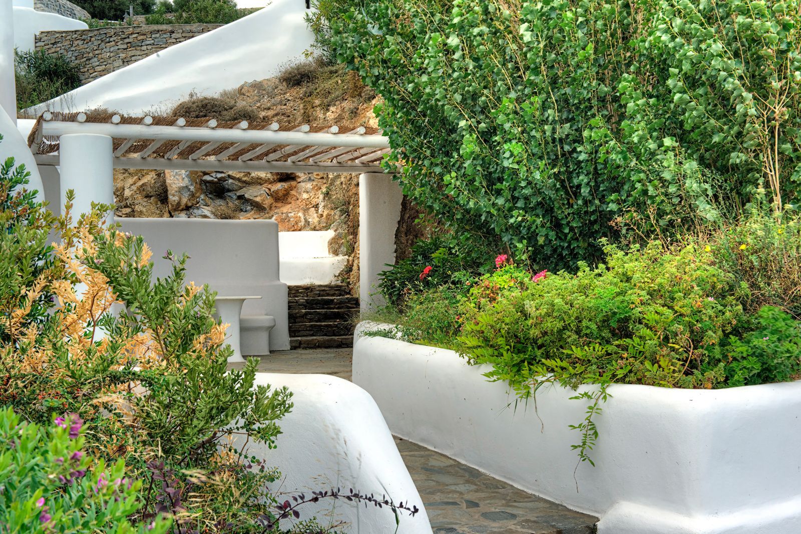 Belogna Ikons Naxos - V1D - 4
