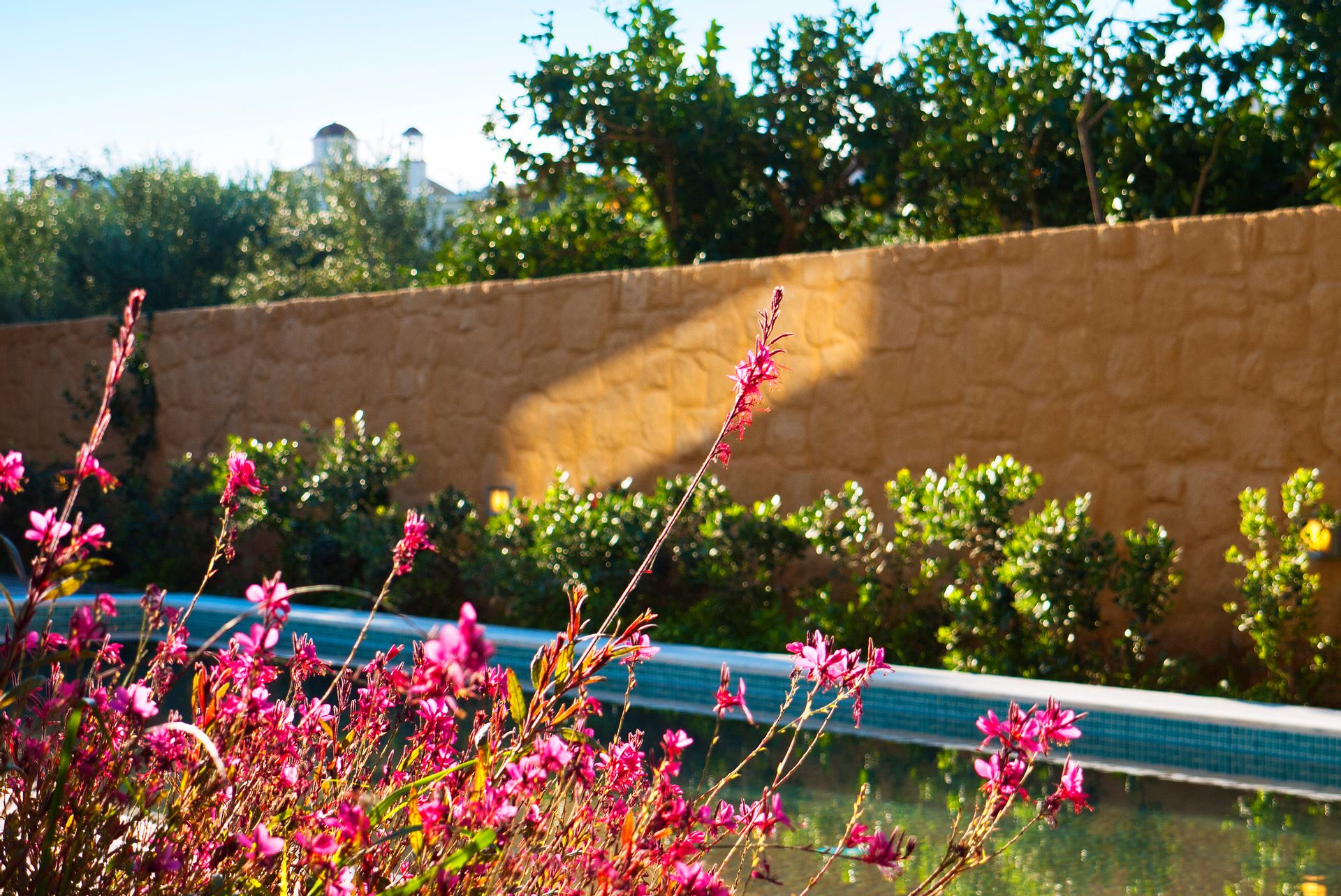 Holiways Villas Crete - ORANGI - 24
