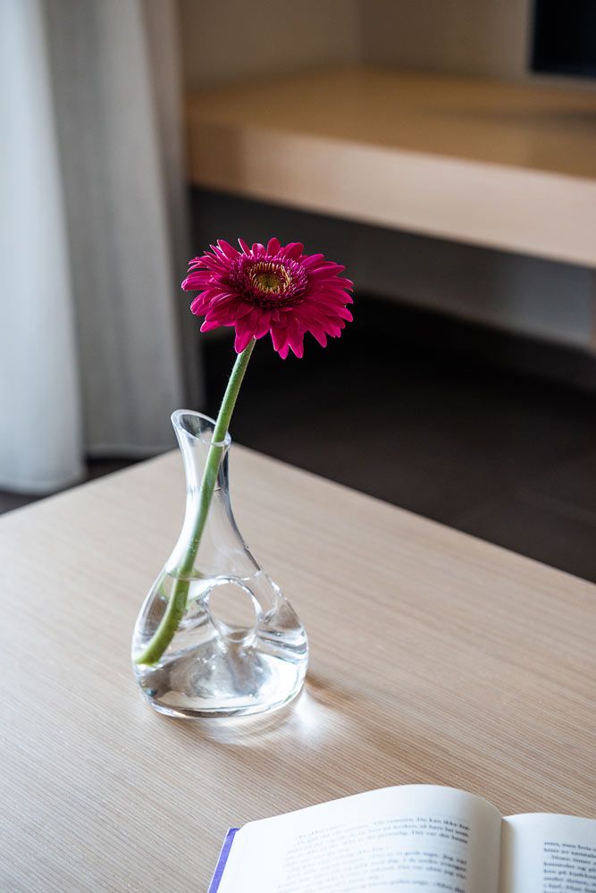 Stellina Group Hotels Chania - STR - 9