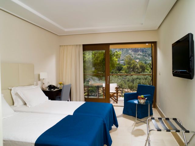 Superior Room Mountain View