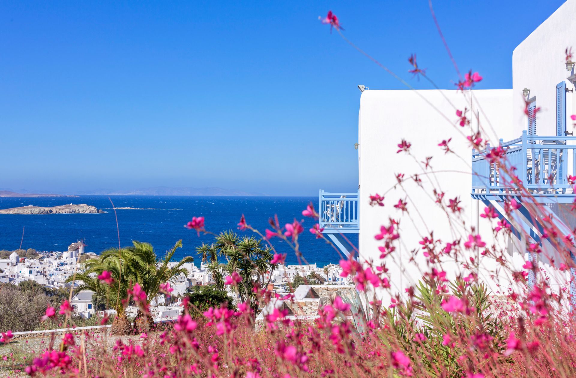 Vencia Boutique Hotel - SPSSV - 7