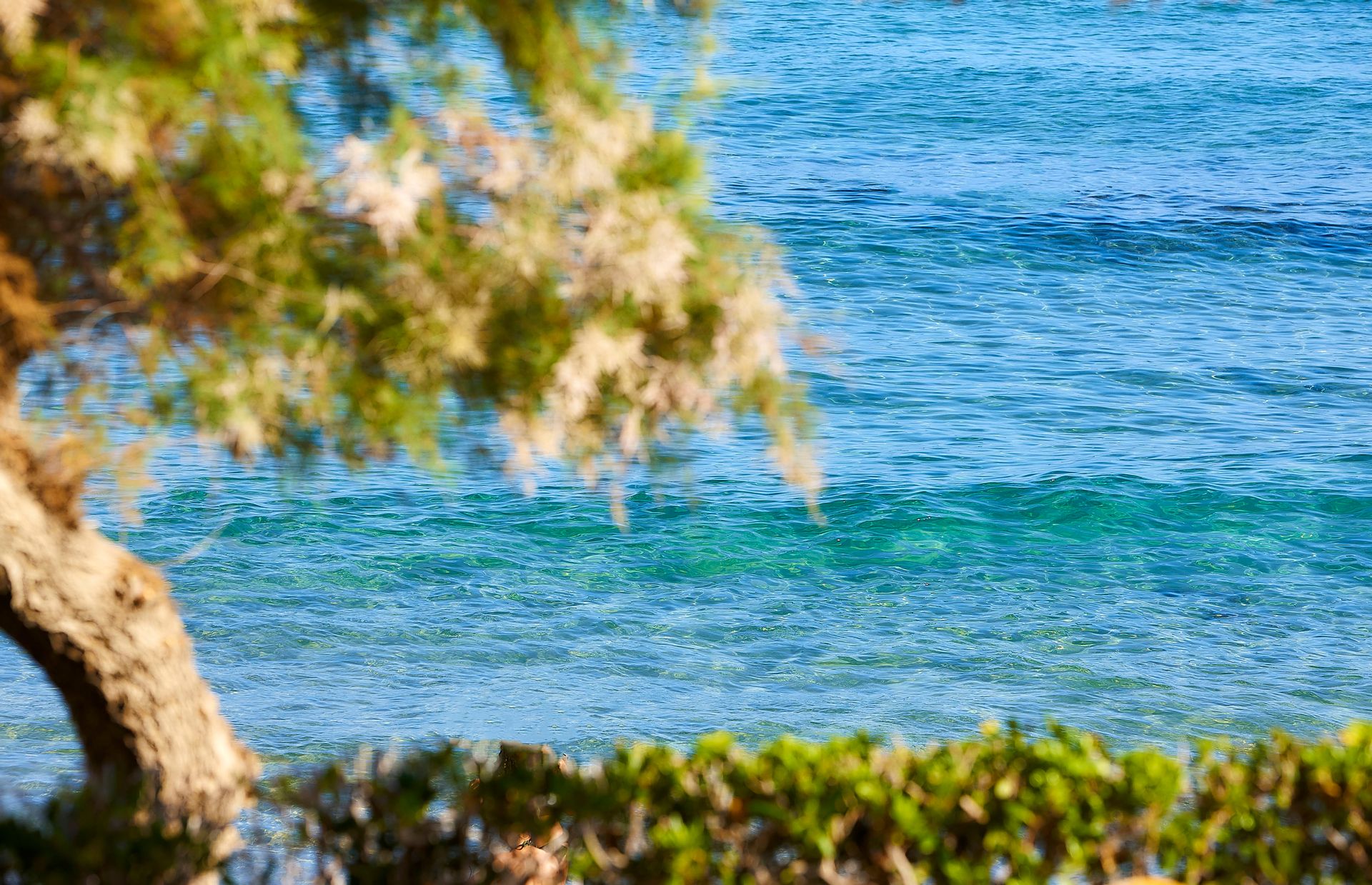 Alexander Beach Hotel & Village - CLASV - 5