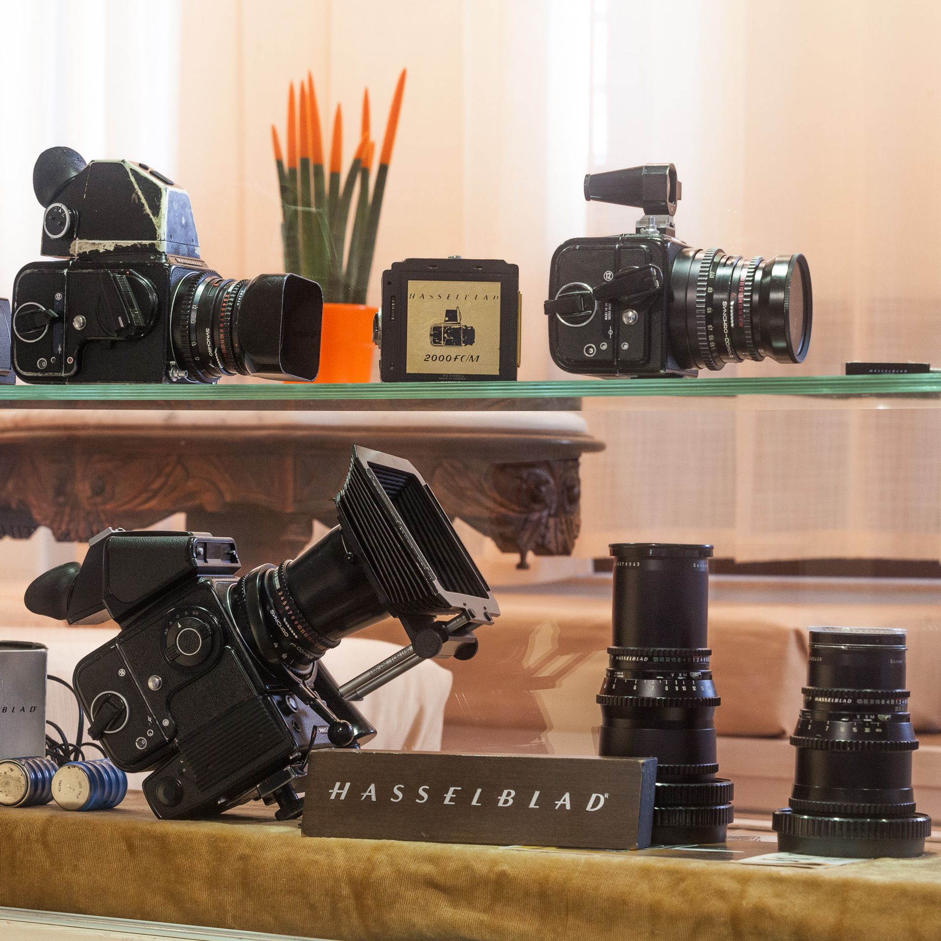 In Camera Art Boutique Hotel - DLXSTE - 12