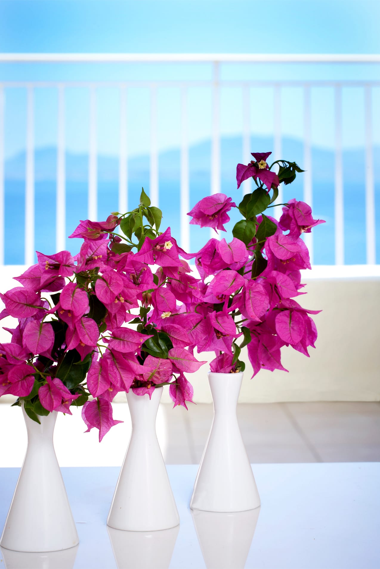 Sunshine Vacation Club Corfu - F5S - 4