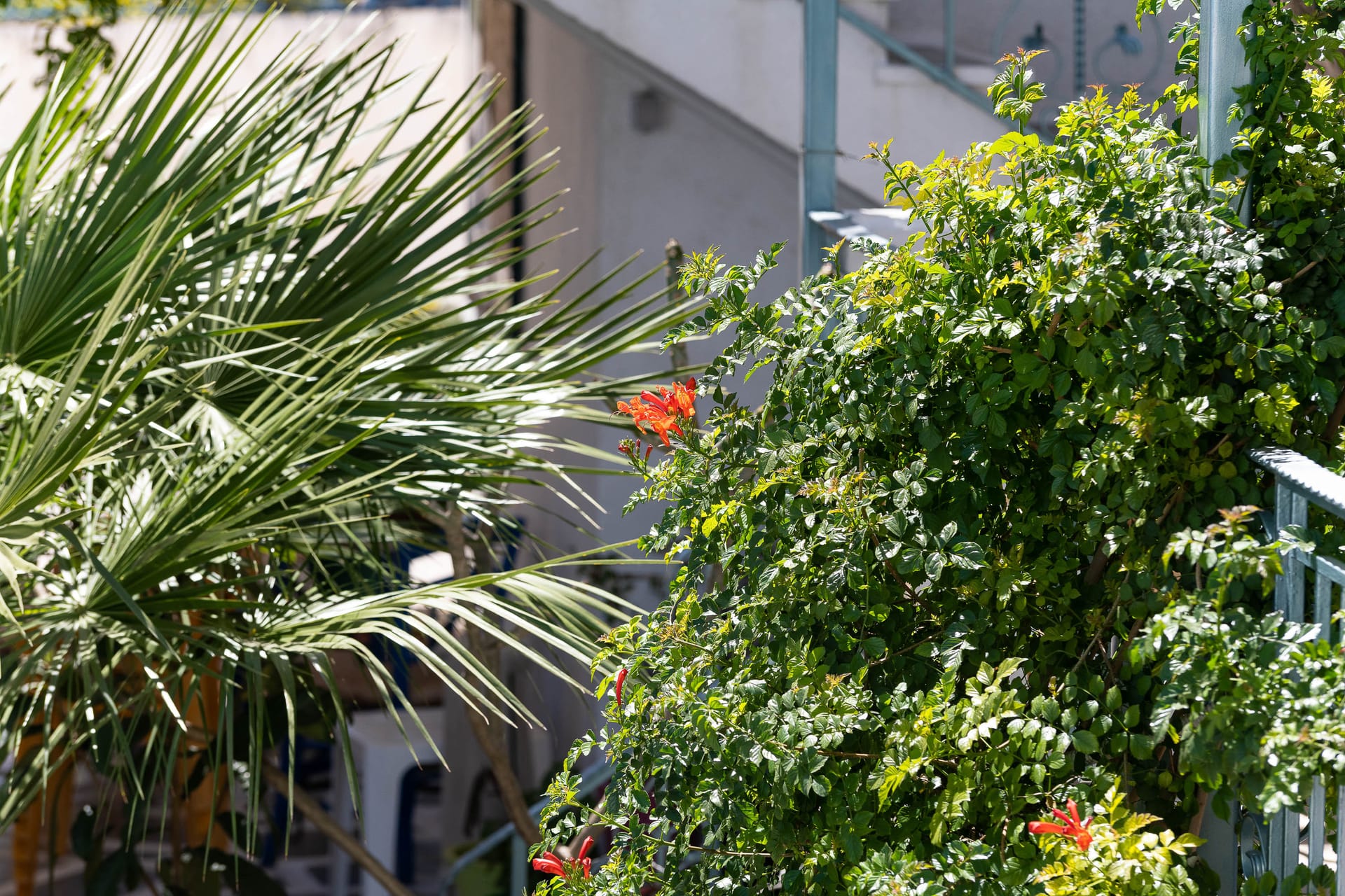Afroditi Apartments - APT - 11