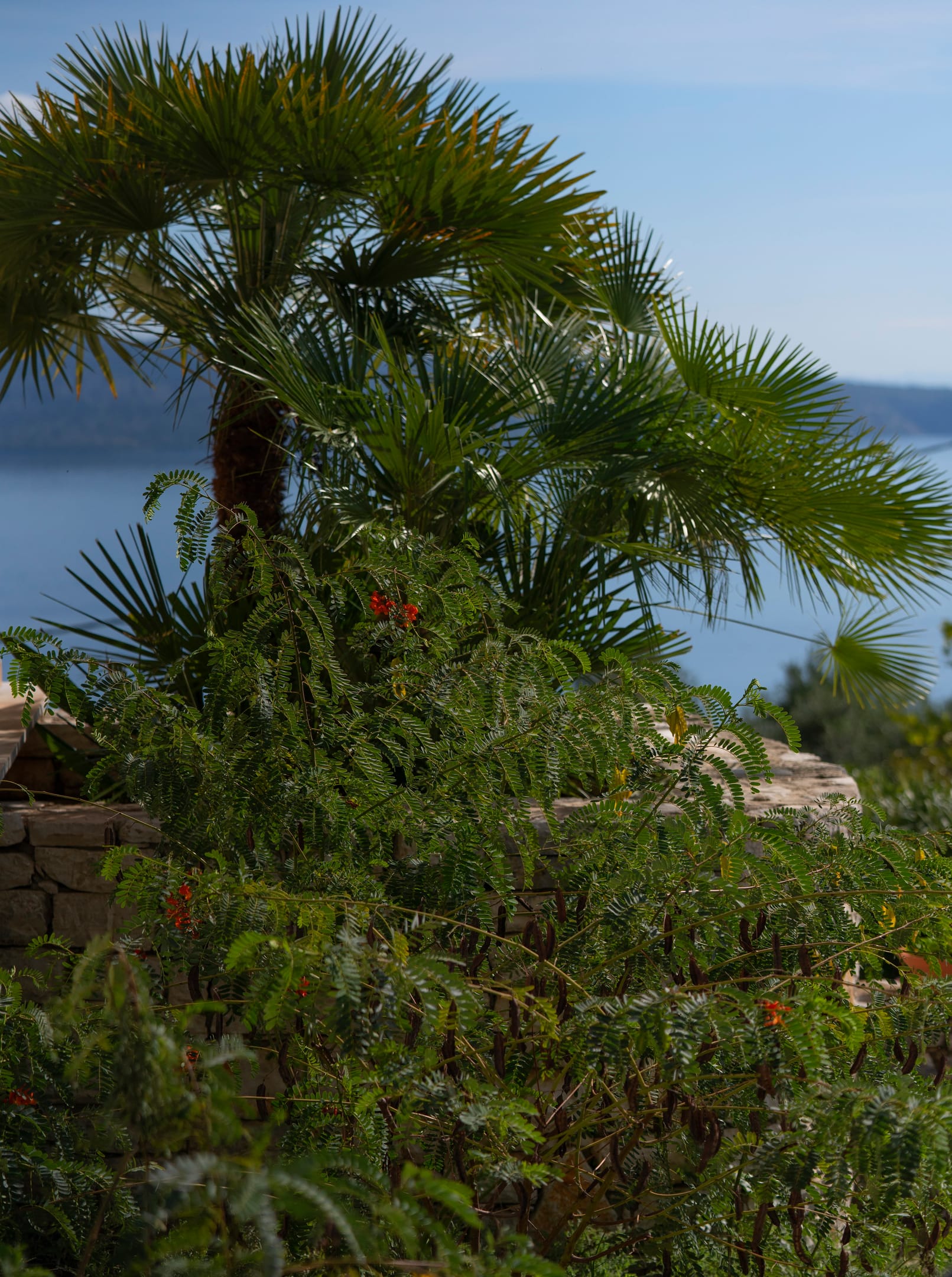 Bellina Villa - VIL4BD - 15