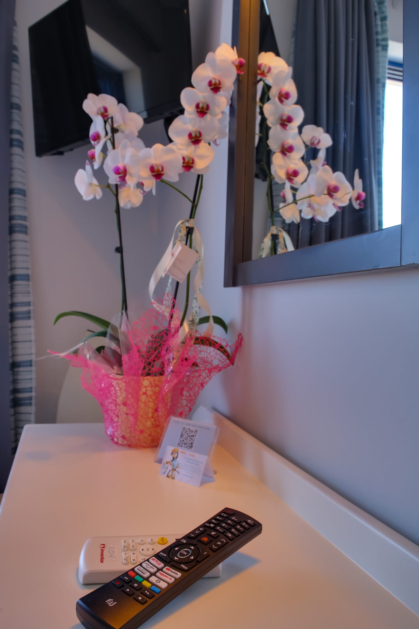 Alexis Hotel Chania - STDBL - 10