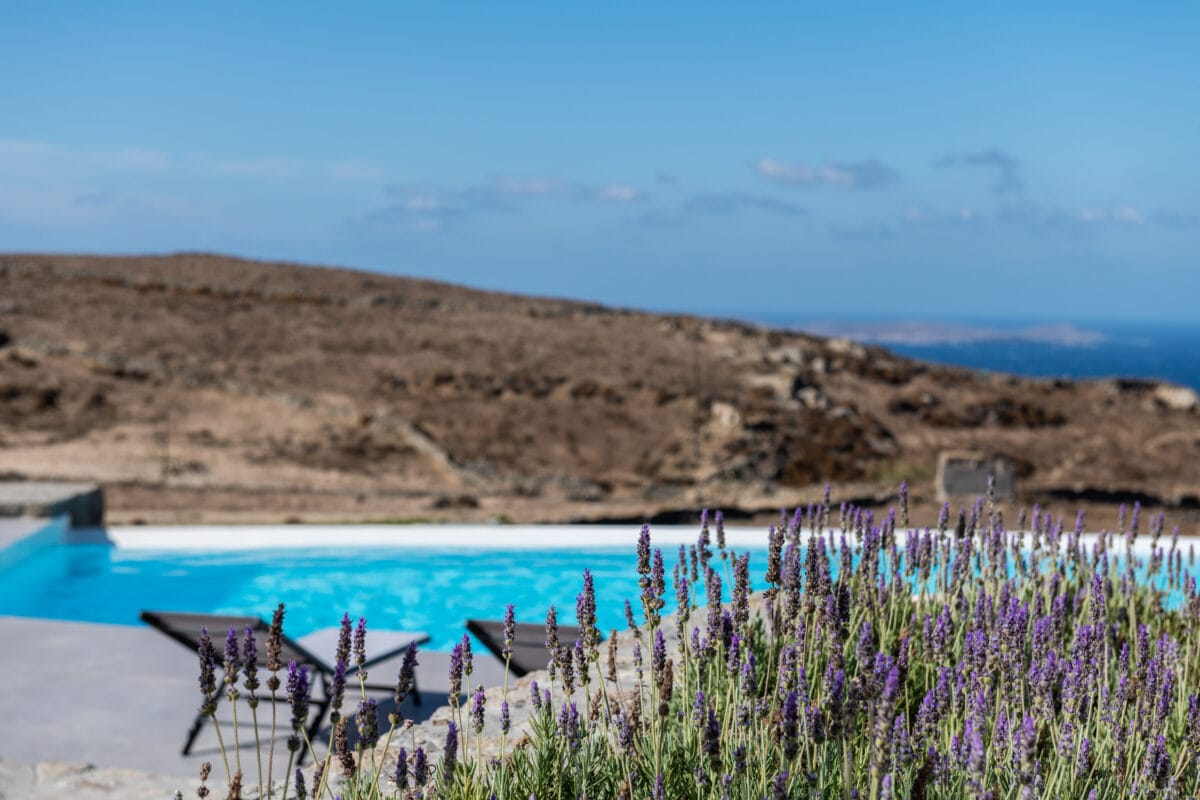 Ethos Greek Hospitality - HOLLY - 14