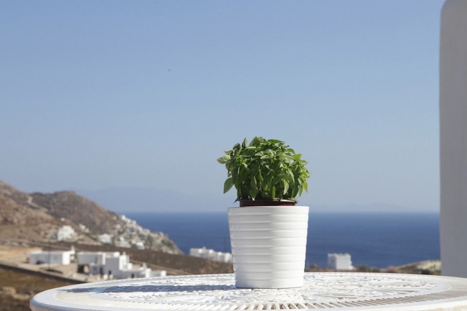 Niriides Homes & Villas - LUXSVV - 7