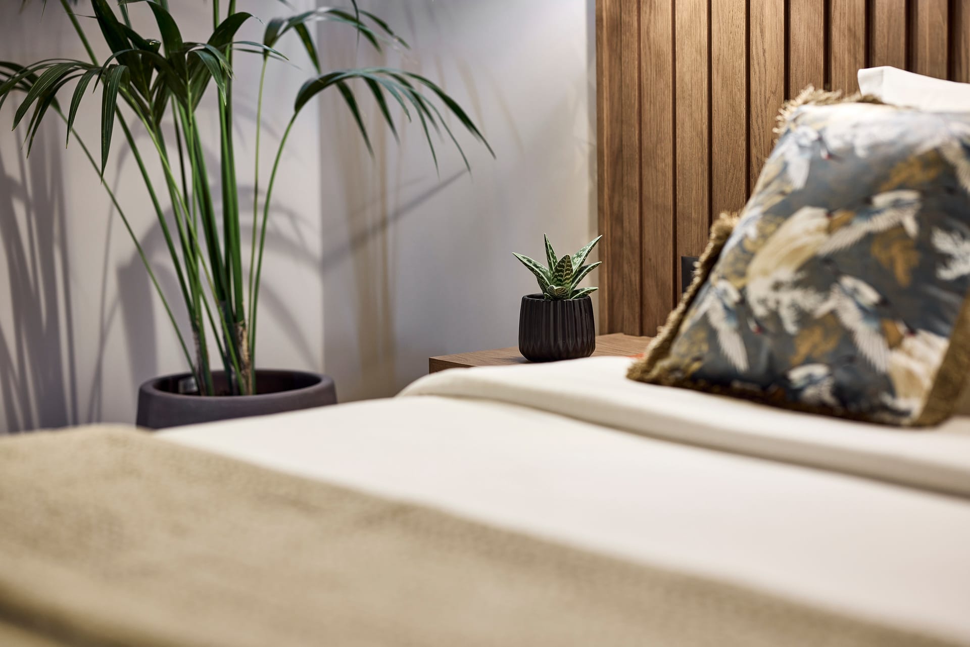 Cama Luxury Suites Glyfada - SUPSV - 6