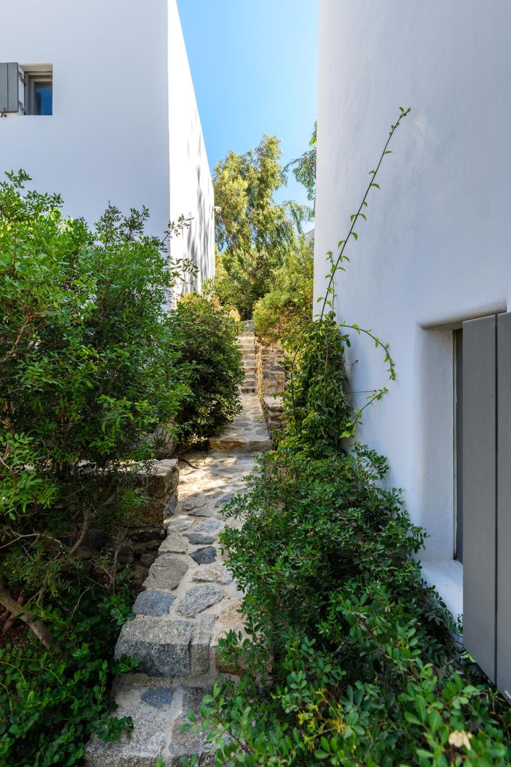 Mykonos Feelings - KIPOS - 9